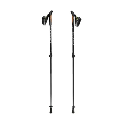 Fizan Revolution Pro Nordic walking bot