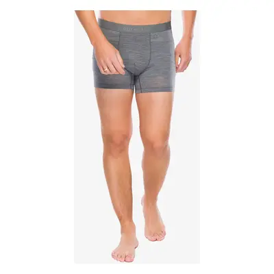 Icebreaker Merino Cool-Lite Anatomica Boxers Termoaktív boxeralsó - gritstone hthr