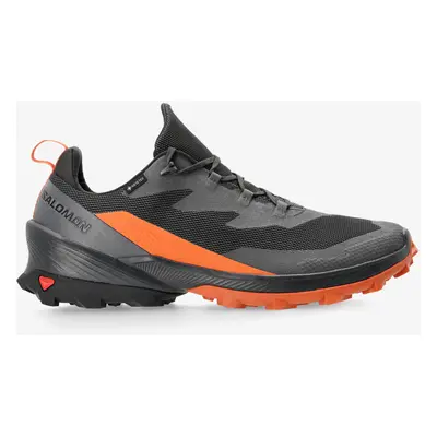 Salomon Cross Over GTX Túracipők - magnet/phantom/spice