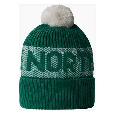 The North Face Retro Cabin Beanie Téli sapka - evergreen/white dune