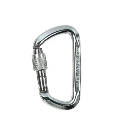 Climbing Technology D-Shape CF SG Karabiner - silver