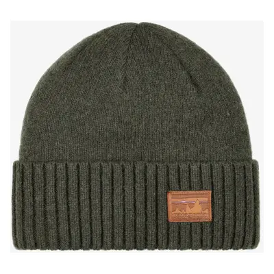 Patagonia Brodeo Beanie Téli sapka - skyline pine needle green