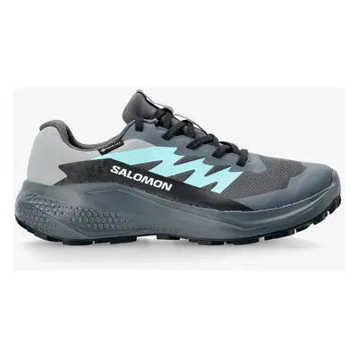 Salomon Alphaglide GTX Női terepfutó cipő - turbulence/blue/navy