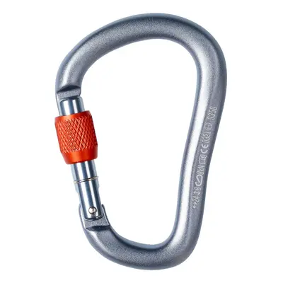 Black Diamond RockLock Screwgate Karabiner - gray