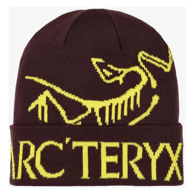 Arcteryx Bird Word Toque Téli sapka - phantasm/euphoria