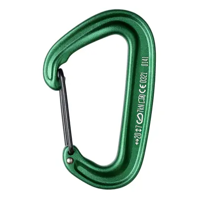 Black Diamond MiniWire Karabiner - green