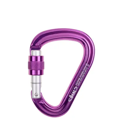 Beal Be Safe Karabiner - fuchsia