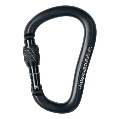 Black Diamond RockLock Screwgate Karabiner - black