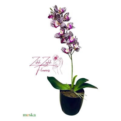 Leopárd Mintás Orchidea - Különleges Elegancia