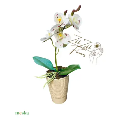 Fehér Orchidea - Elegáns Kifinomultság