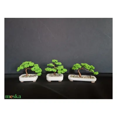 Mini bonsai fák 3db