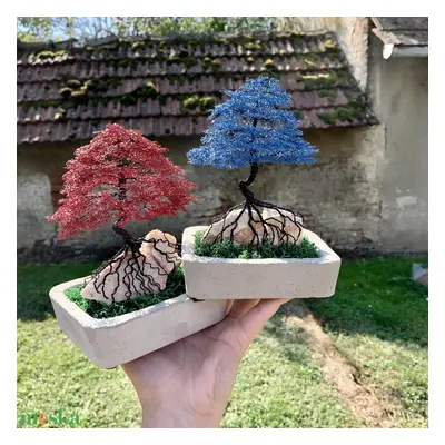 Bonsai fa sziklán