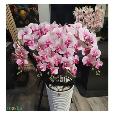 Állókaspós orchidea dekoráció