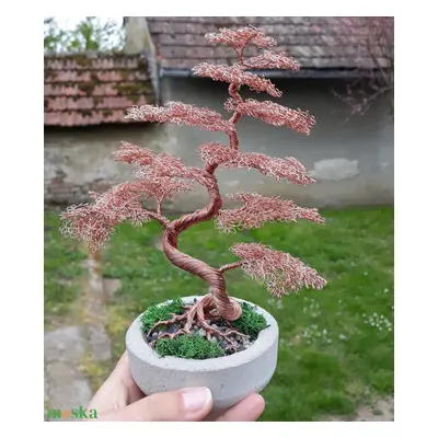 Csavart törzsű drót bonsai