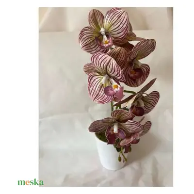 Orchidea dekor 1 szálas csíkos