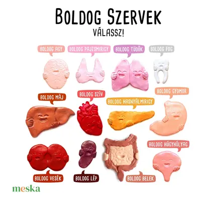 BOLDOG SZERVEK >> szív belek vesék húgyhólyag fog pajzsmirigy agy tüdők lép hasnyálmirigy máj hű