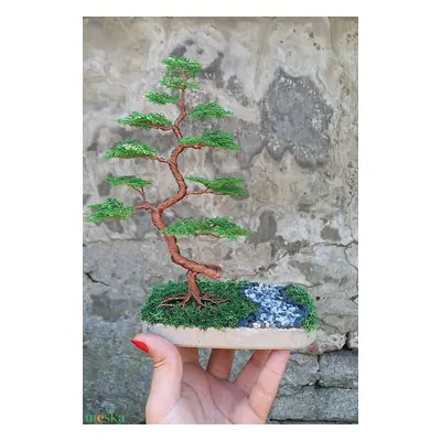 Köves út, bonsai fával