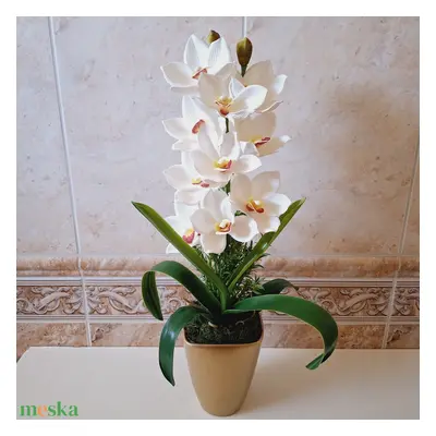 Cymbidium orchidea dekoráció kerámia kaspóban