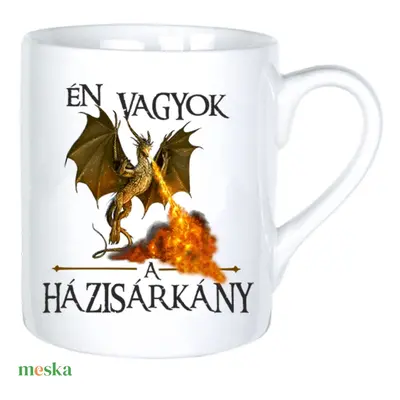 Én vagyok a házisárkány