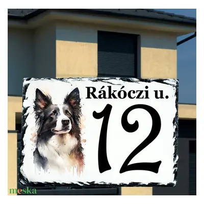 Házszám tábla Border Collie 1 mintával