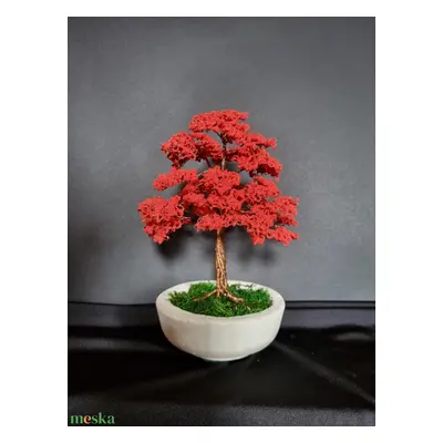 Piros drót bonsai fa