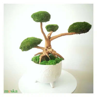 Bonsai tartósított gömbmohával 13 - moha bonsai