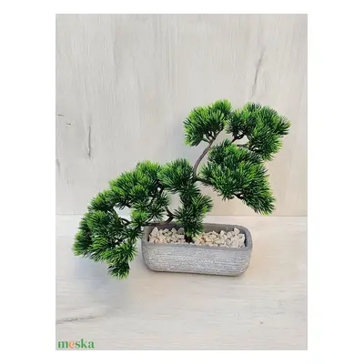 Bonsai fa beton kaspóban