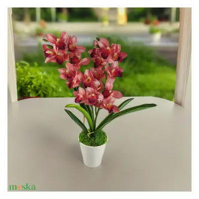 Nagy méretű, kétágú pink csónakorchidea ORC209PK