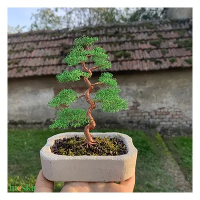 Csavart törzsű drót bonsai