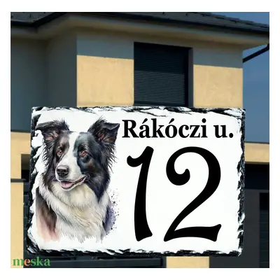 Házszám tábla Border Collie 2 mintával