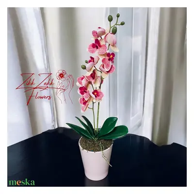 Rózsaszín Orchidea - Finom Elegancia