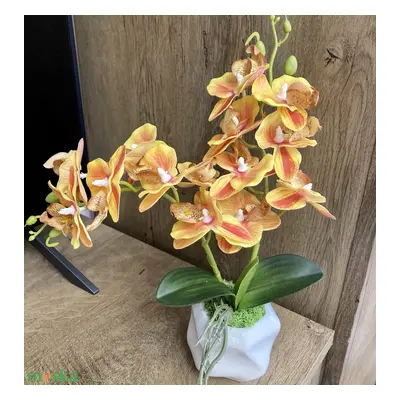 Orchidea 35 cm