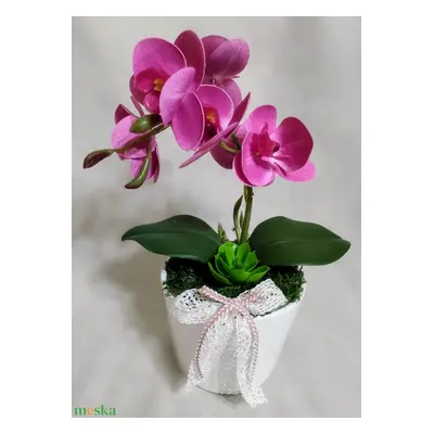 Mini rózsaszín örök orchidea