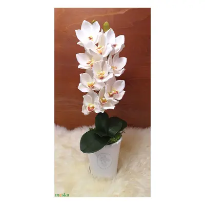 Élethű orchidea