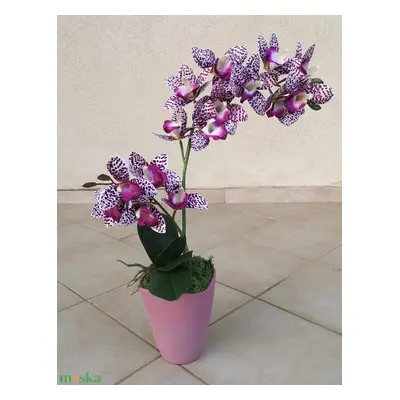 Élethű orchidea