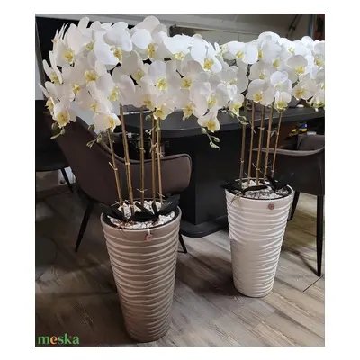 Orchidea lakásdekoráció