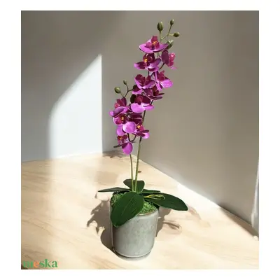 Orchidea tavaszi asztaldísz