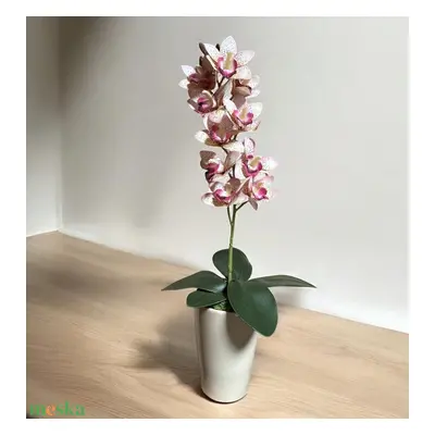 Orchidea tavaszi asztaldísz