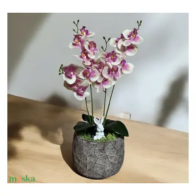 Orchidea tavaszi asztaldísz