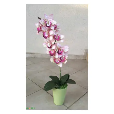 Élethű orchidea