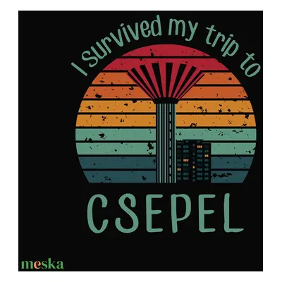 I survived my trip to CSEPEL - vászonkép - Farkas Benjamin