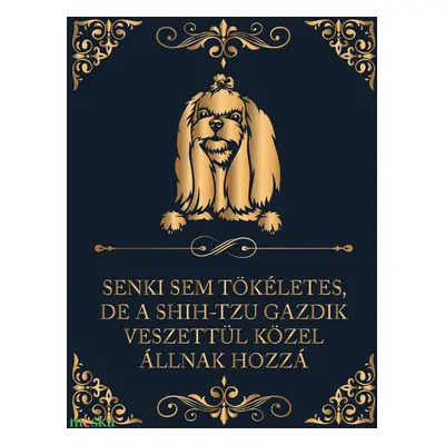 Tökéletes SHIH-TZU GAZDIK - vászonkép