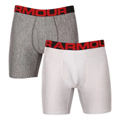 Férfi boxerek UNDER ARMOUR UA Tech 6in 2 Pack-GRY