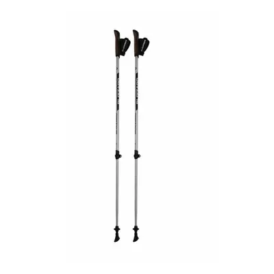 Nordic walking palota BLIZZARD Alu Performance nordic walking poles, silver black