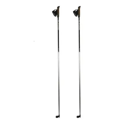 Sífutórudak BLIZZARD XC Performance poles, silver black