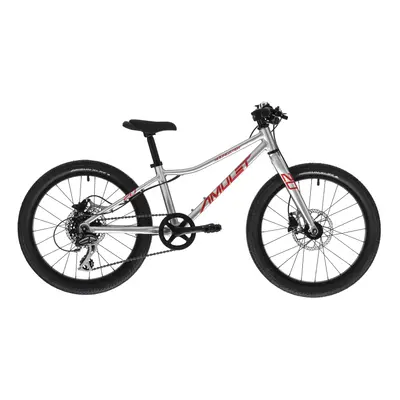 Gyermek mountain bike AMULET 20 Youngster SH, alu brushed transparent red