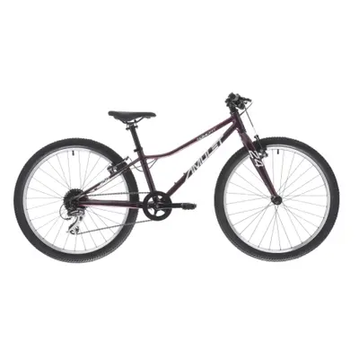 Junior mountain bike AMULET 24 Tomcat SH, royal purple silver, 2023