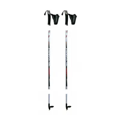 Sífutórudak BLIZZARD XC Performance senior cross-country poles, silver