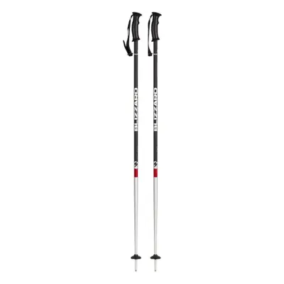 Junior síbotok BLIZZARD Rental junior ski poles