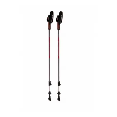 Nordic walking palota BLIZZARD Alu Performance nordic walking poles, anthracite pink